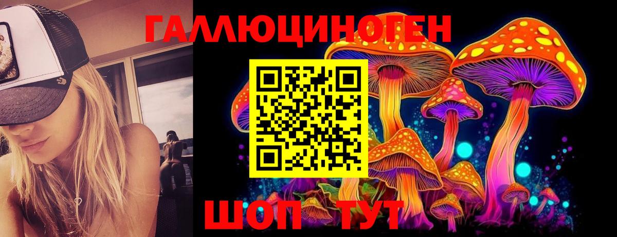 Галлюциногенные грибы GOLDEN TEACHER  Вход с VPN  Кинешма 