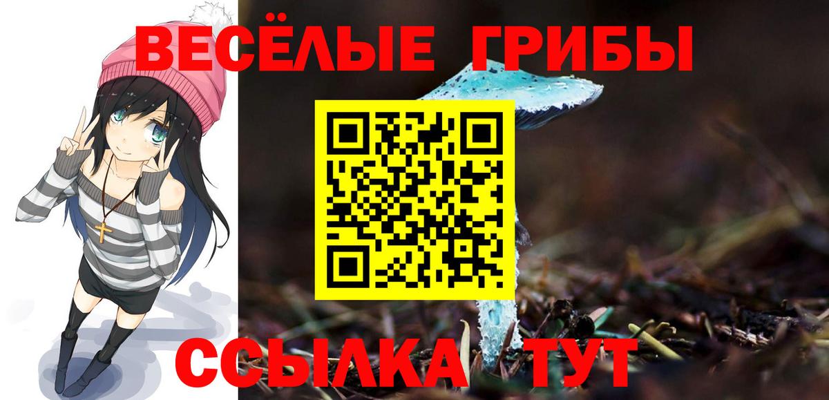 Галлюциногенные грибы мухоморы Кинешма
